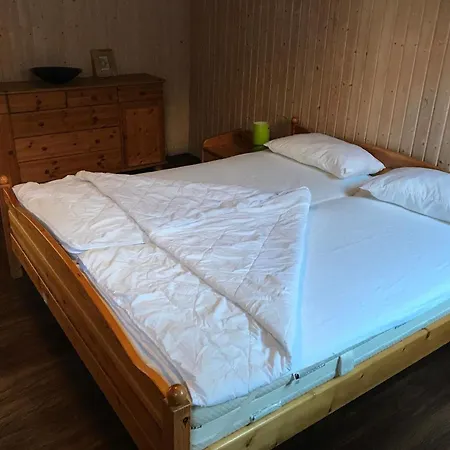 Grosse In Nesse Mit Garten Und Terrasse شقة